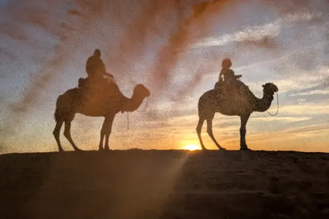 Fila de dromedarios avanzando por la arena de Erg Chebbi, Merzouga, con el sol bajo